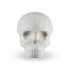 Шейкер Latin Percussion Sugar Skull Shaker LP006-GLO Glow In The Dark