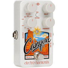 Canyon Delay and Looper