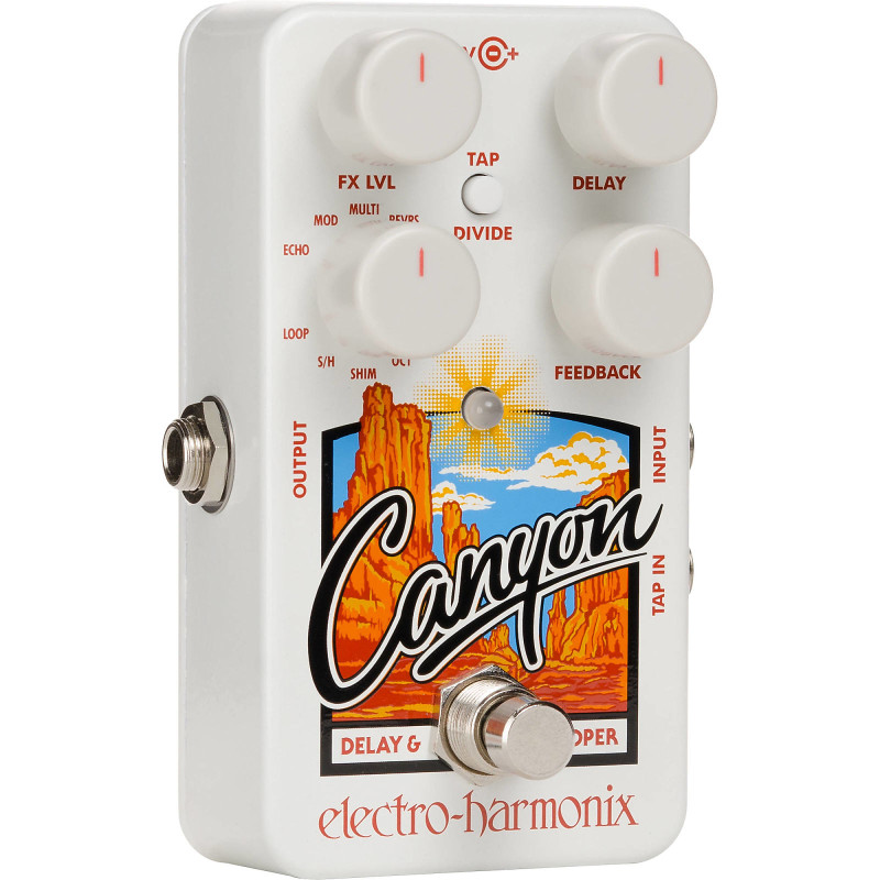 Canyon Delay and Looper