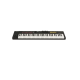 NEKTAR Impact LX61 mk3 MIDI-клавіатура