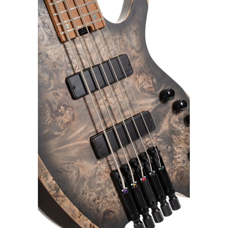 CORT ARTISAN SPACE 5 (STAR DUST BLACK) Бас-гітара