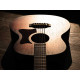CORT Little CJ Blackwood (Open Pore Light Burst) Акустична гітара