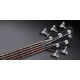 WARWICK Teambuilt Pro Series Streamer LX, 5-String (Natural Transparent Satin) Бас-гитара