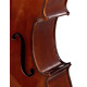STENTOR 1102/F STUDENT I CELLO OUTFIT 1/4 Виолончель