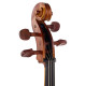 STENTOR 1102/F STUDENT I CELLO OUTFIT 1/4 Виолончель