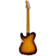 LTD TE-254 Distressed (3-Tone Burst)