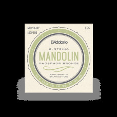 D‘ADDARIO EJ75 Mandolin Phosphor Bronze Medium/Heavy (11.5-41) Струни для мандоліни