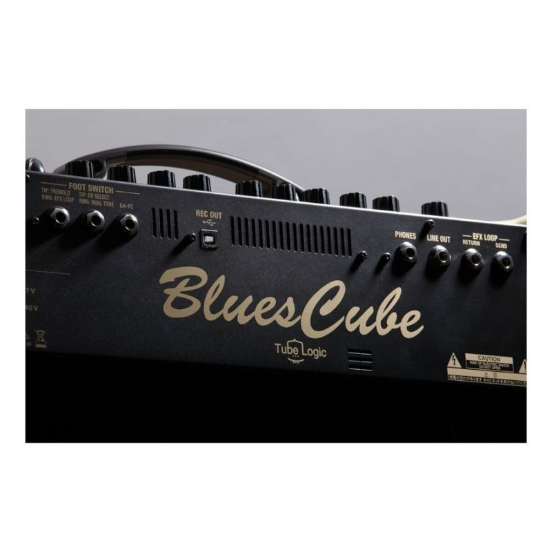 Гітарний підсилювач Roland Blues Cube Artist