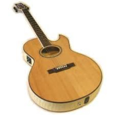 WASHBURN EA20 SDL Акустическая гитара