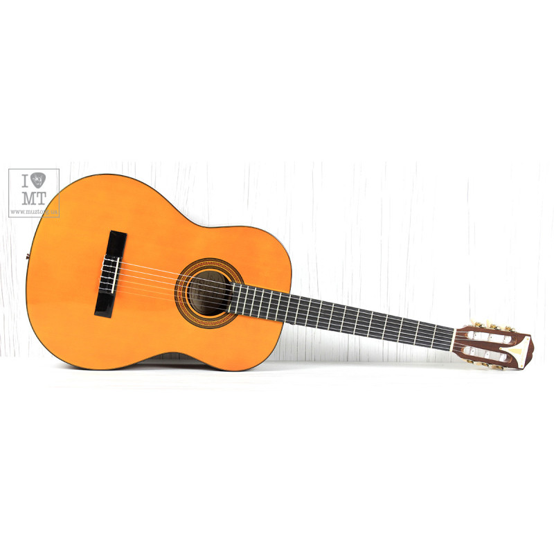 EPIPHONE PRO-1 CLASSIC 1.75 Гітара класична