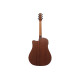 IBANEZ AAD50CE-LG Гітара електроакустична