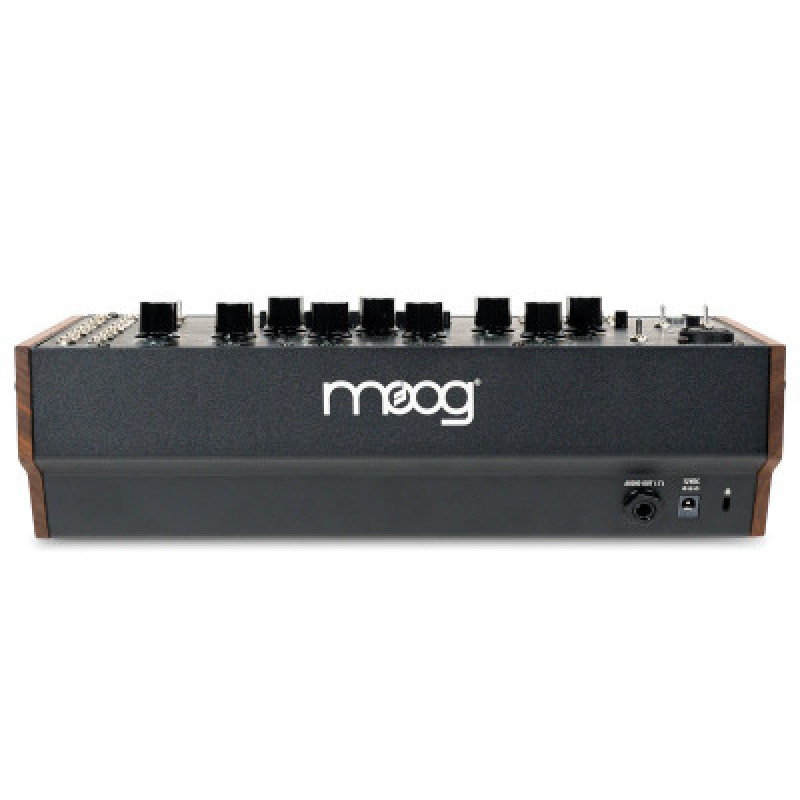 Синтезатор аналогового моделювання MOOG SPECTRAVOX