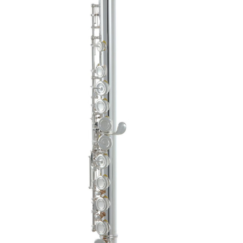 Флейта Roy Benson FL-602E