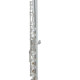 Флейта Roy Benson FL-602E