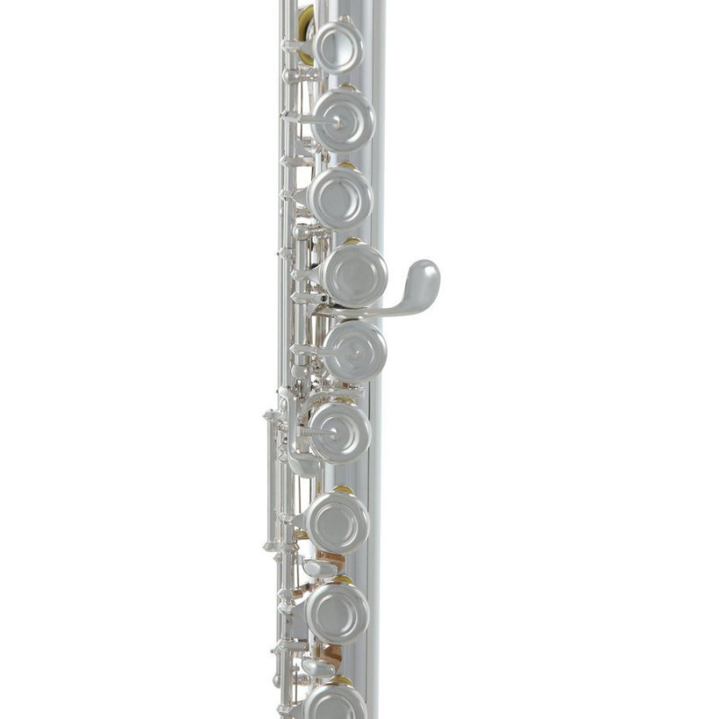 Флейта Roy Benson FL-602E
