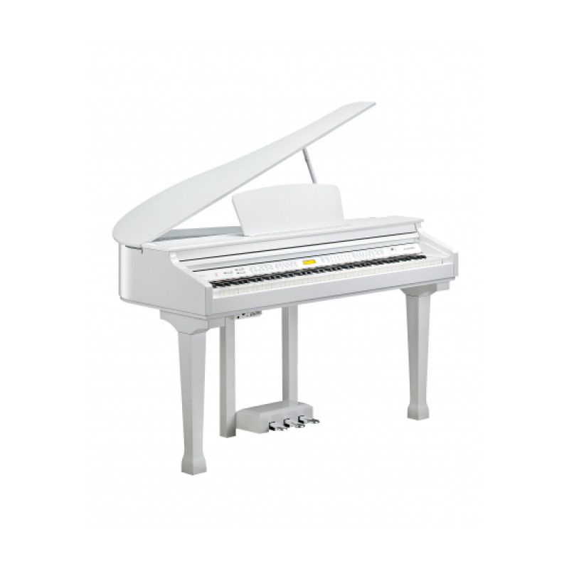 KURZWEIL KAG-100 WHP Цифрове піаніно