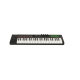 NEKTAR Impact LX49 mk3 MIDI-клавіатура