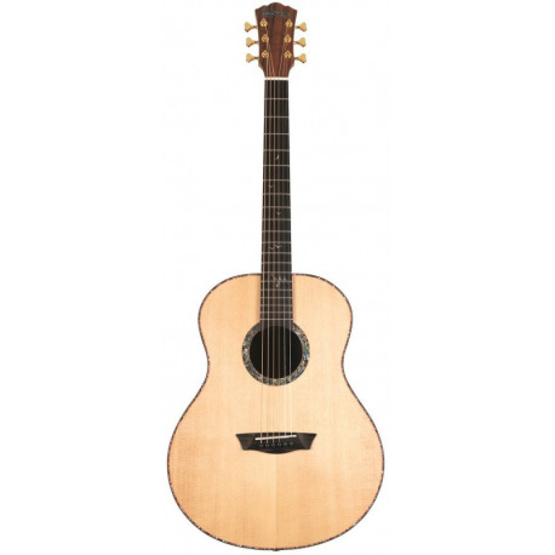 WASHBURN ELEGANTE S24S Акустическая гитара