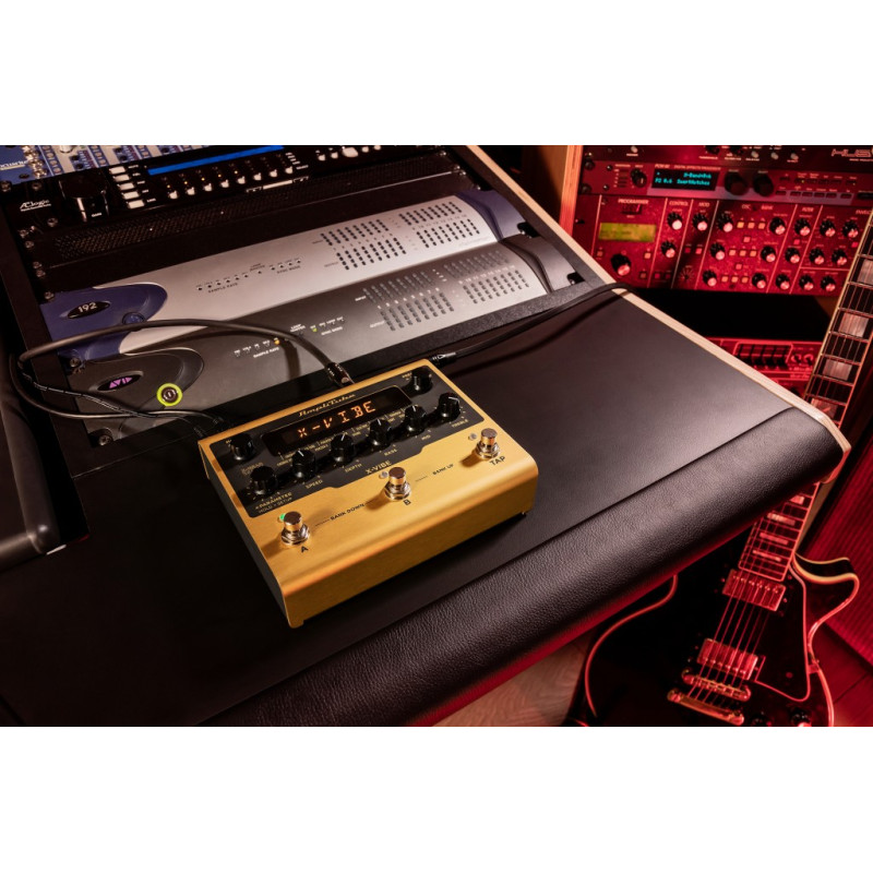 IK MULTIMEDIA Amplitube X-VIBE