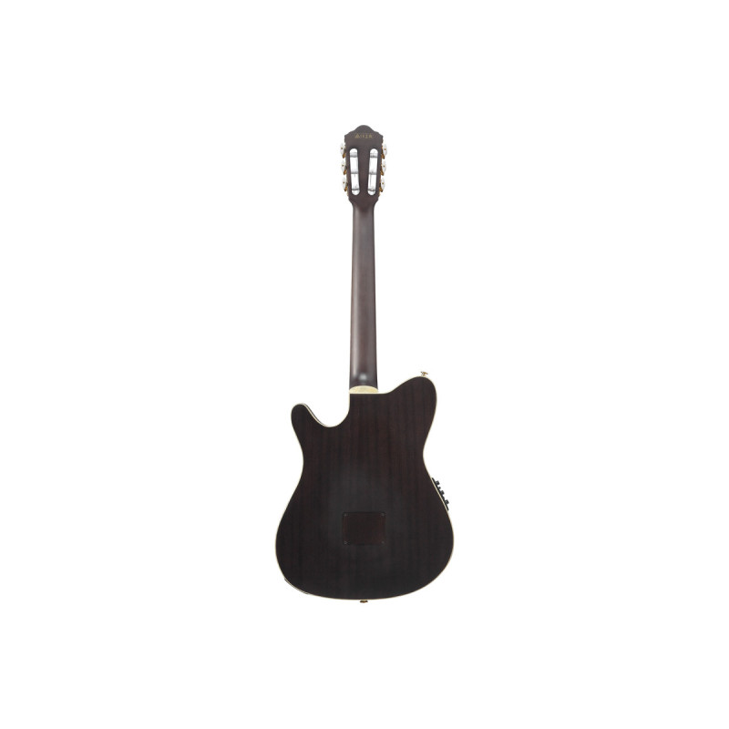 IBANEZ TOD10N-BKF Гитара классическая
