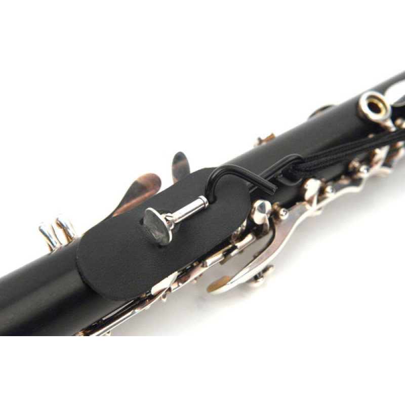 CCA01