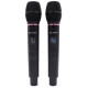 HL AUDIO DG-2000 Радіосистема