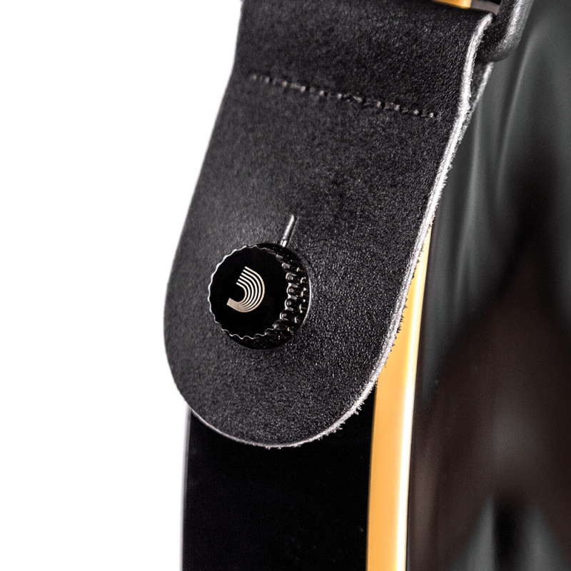 D`ADDARIO PW-SLS-01 Universal Strap Lock System (Black)