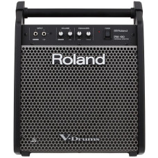 Персональний монітор Roland PM100