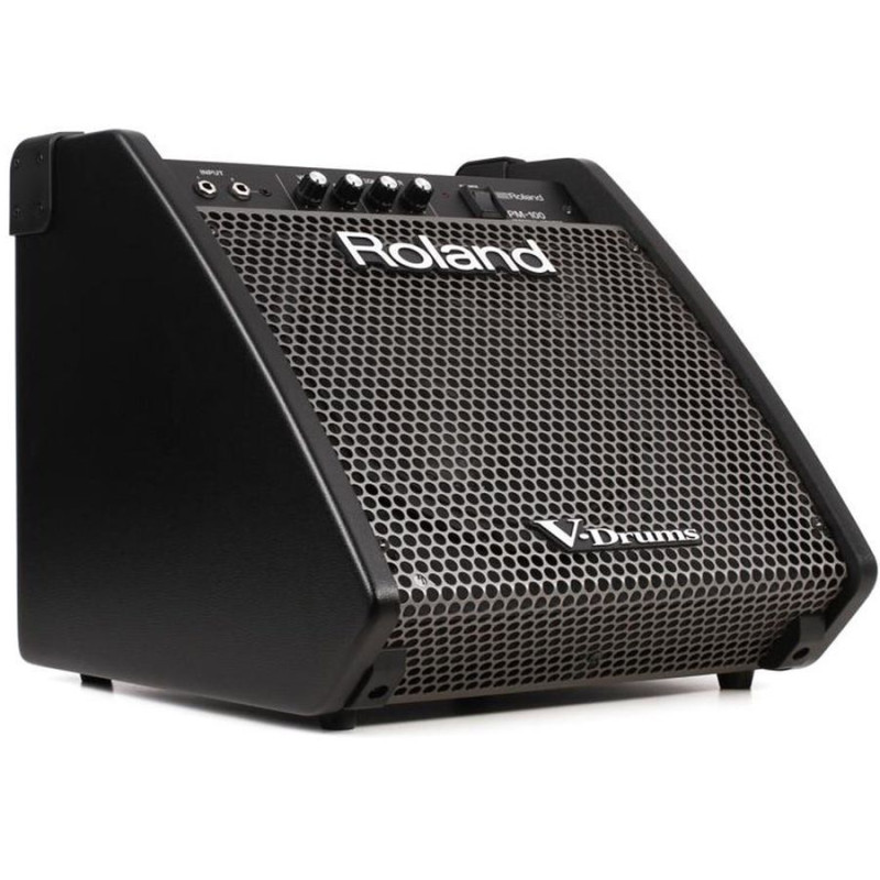 Персональний монітор Roland PM100