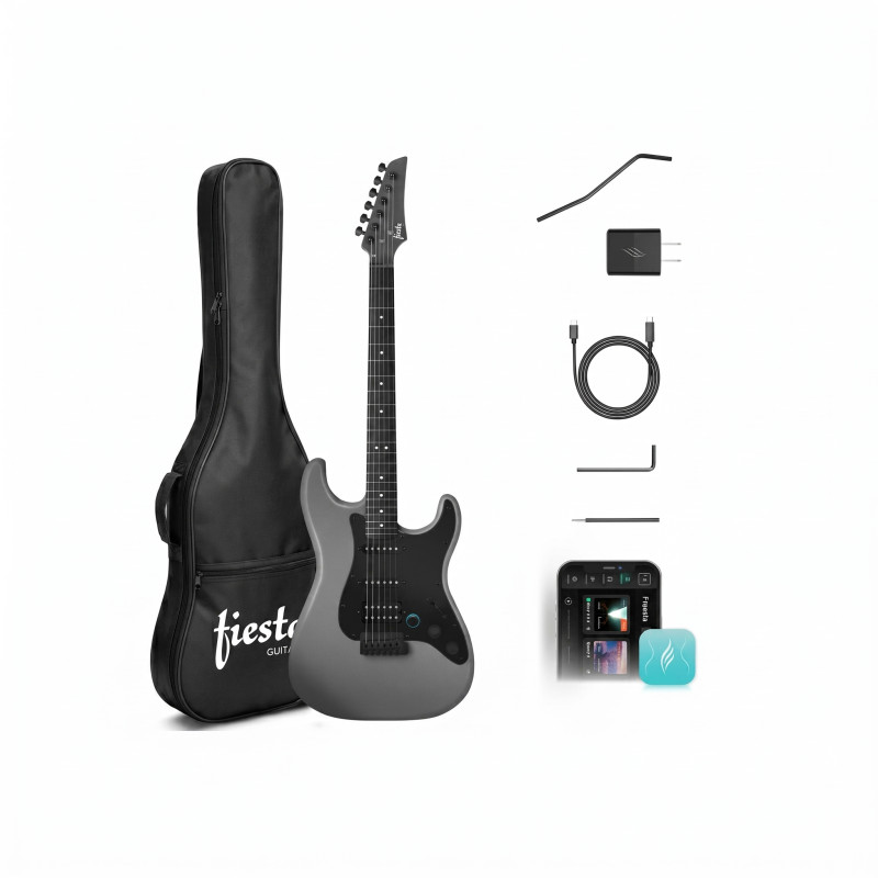 FIESTA E-SP1 Grey Електрогітара