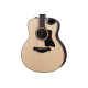 TAYLOR GUITARS 816ce BUILDERS EDITION Гітара електроакустична