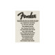 FENDER T-SHIRT WORLD TOUR VINTAGE WHITE M Футболка