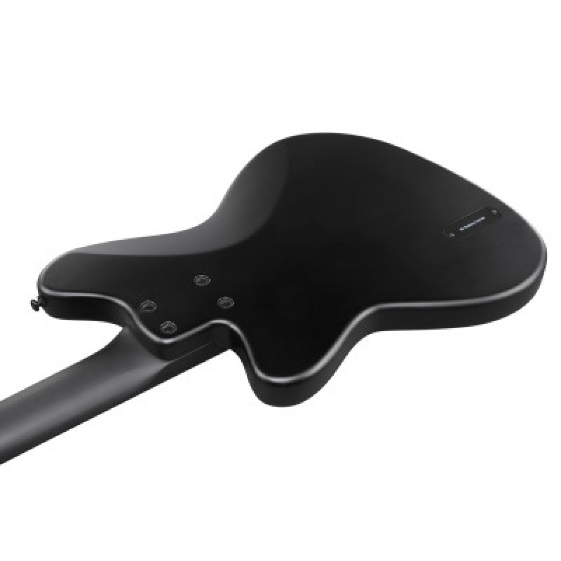 Бас-гітара IBANEZ TMB425B BKF