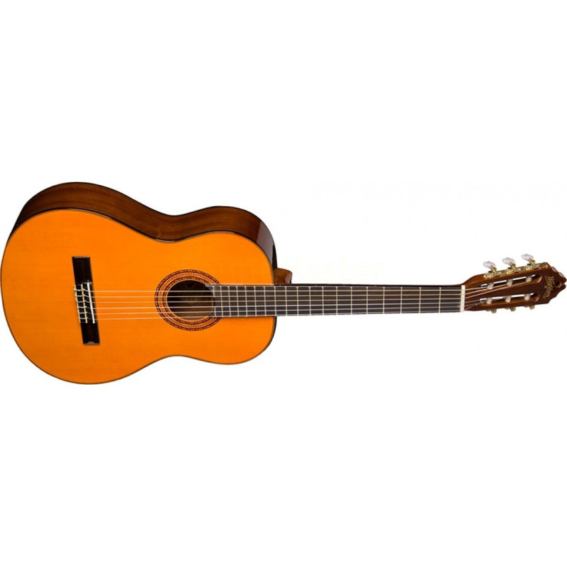 WASHBURN C5  Акустическая гитара