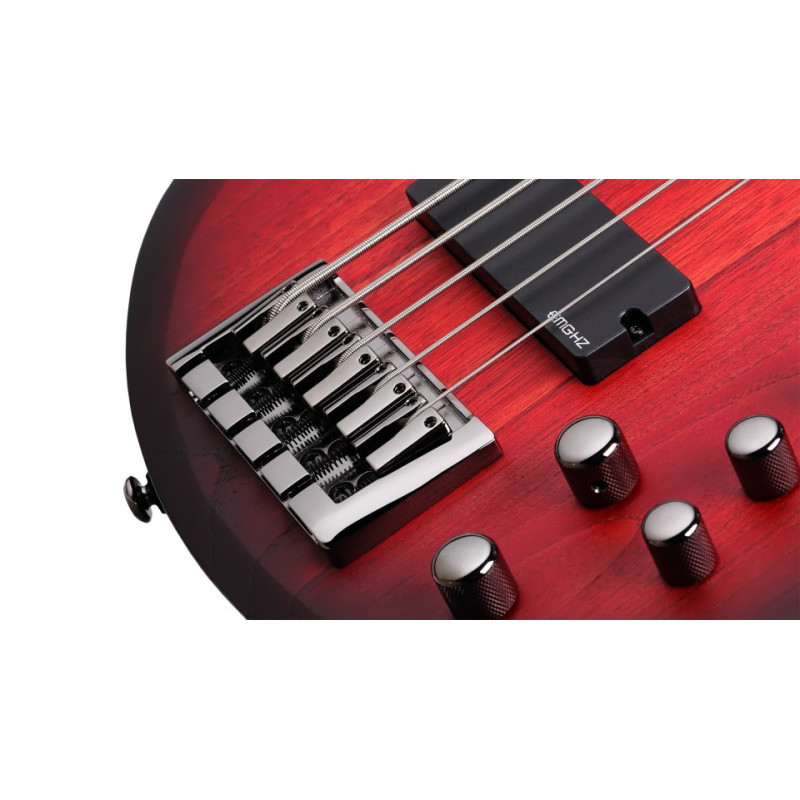 SCHECTER C-5 CUSTOM TCS