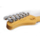 SCHECTER NICK JOHNSTON DS TRAD A.SLVR Электрогитара