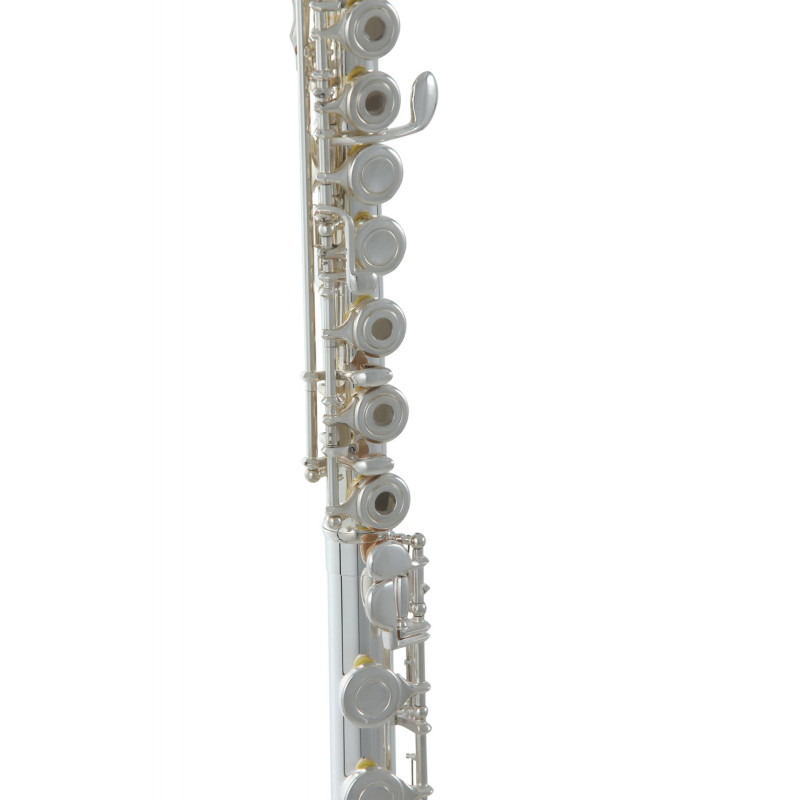 Флейта Roy Benson FL-402R2
