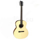 VGS BR-30Е Belle Rose Акустическая гитара с датчиком