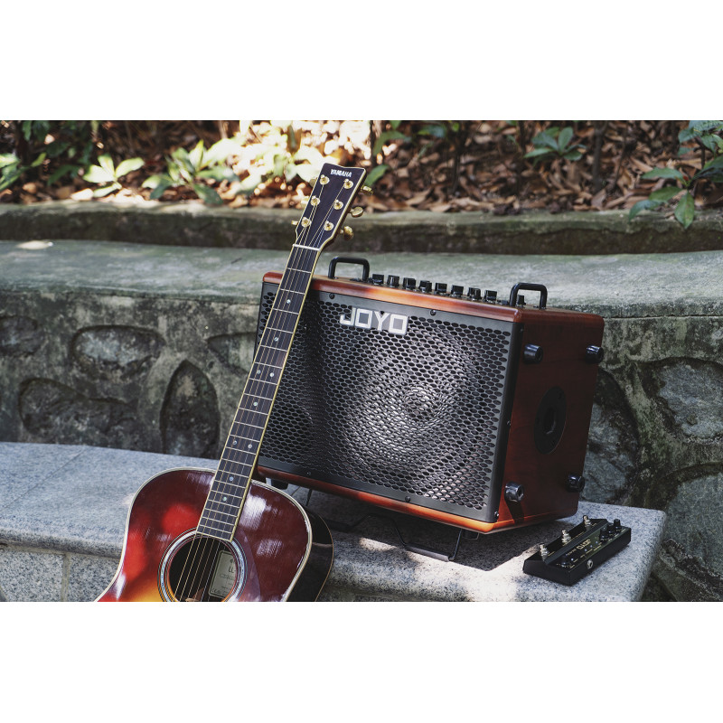 JOYO BSK-80 (80W, 1x10", 1x3") Комбоусилитель для акустической гитары