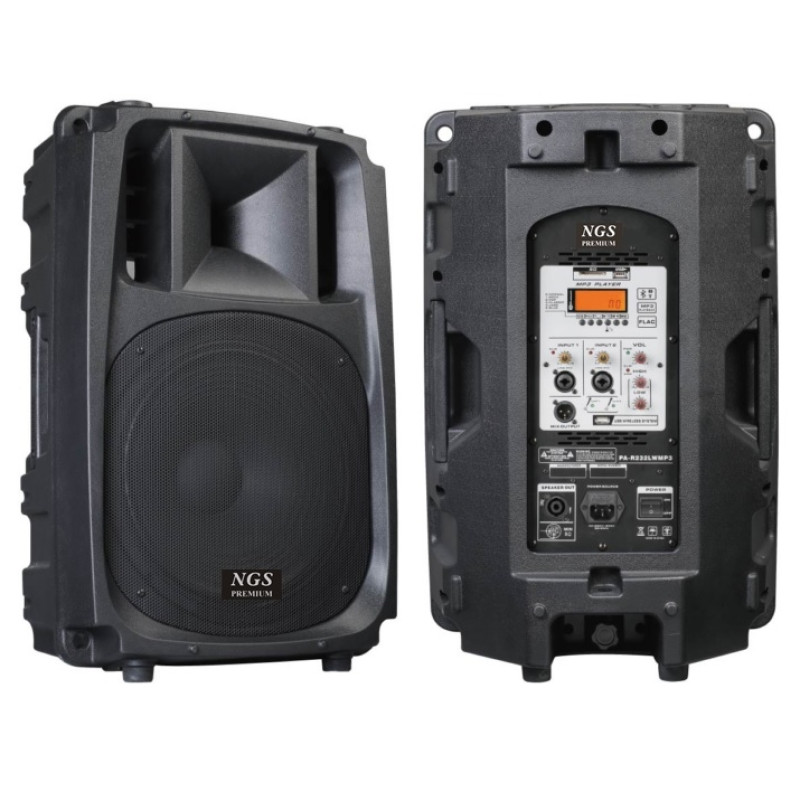 Активная акустическая система NGS Premium PA-R532RMP3 15