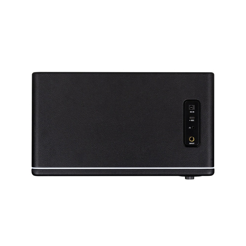 MOOER HORNET 30I (BLACK) Комбоусилитель
