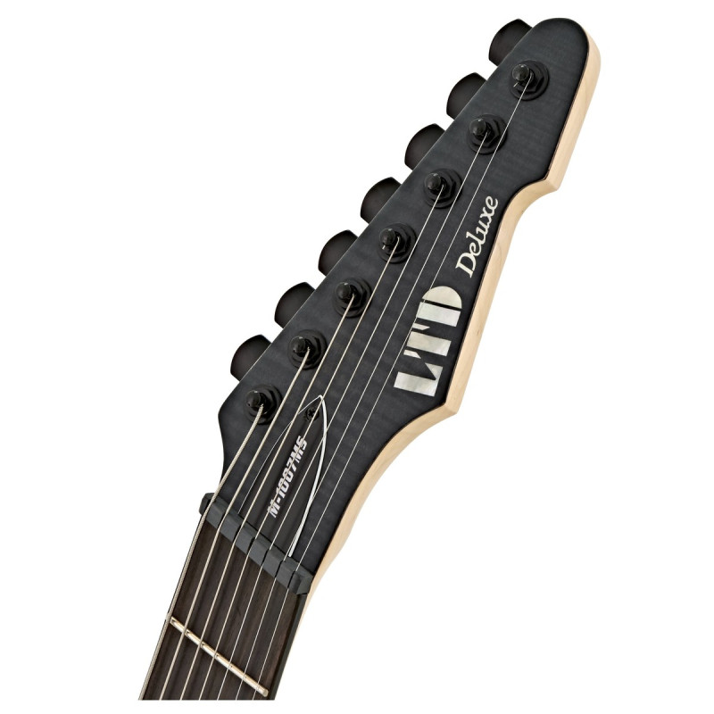 LTD M-1007 MULTI-SCALE FM (See Thru Black Satin)