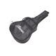 IBANEZ V54NJP Гітарний набір з акустичною гітарою