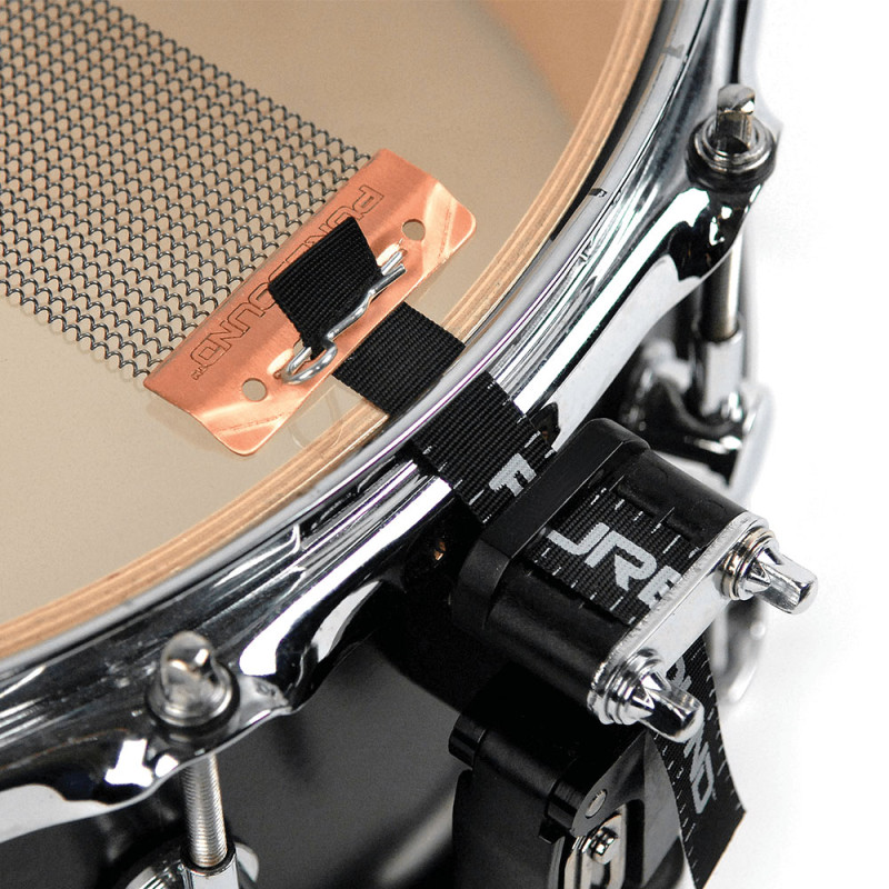 PURESOUND CPS1320 13