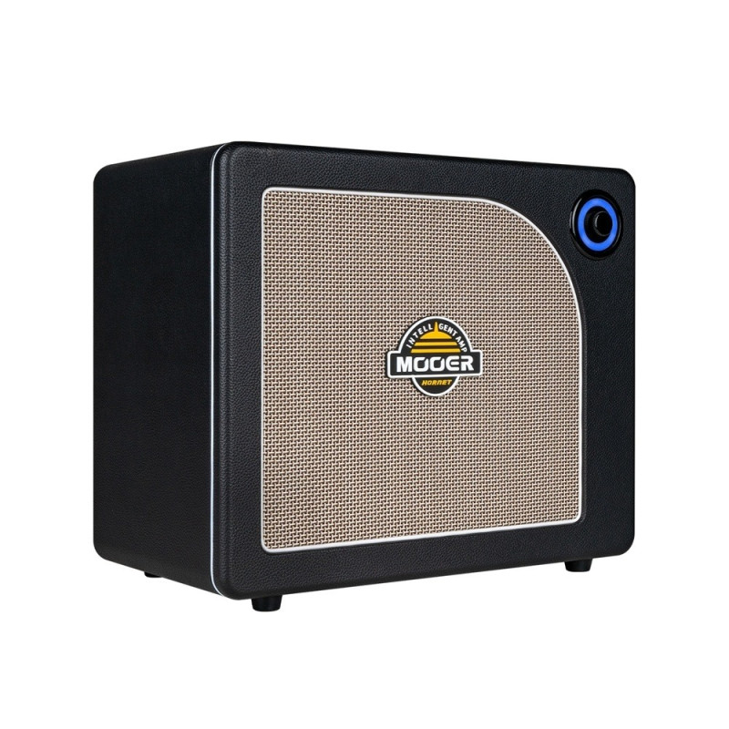 MOOER HORNET 30I (BLACK) Комбоусилитель