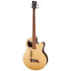 WARWICK RockBass Alien Deluxe, 4-String (Natural Transparent Satin) Бас-гітара