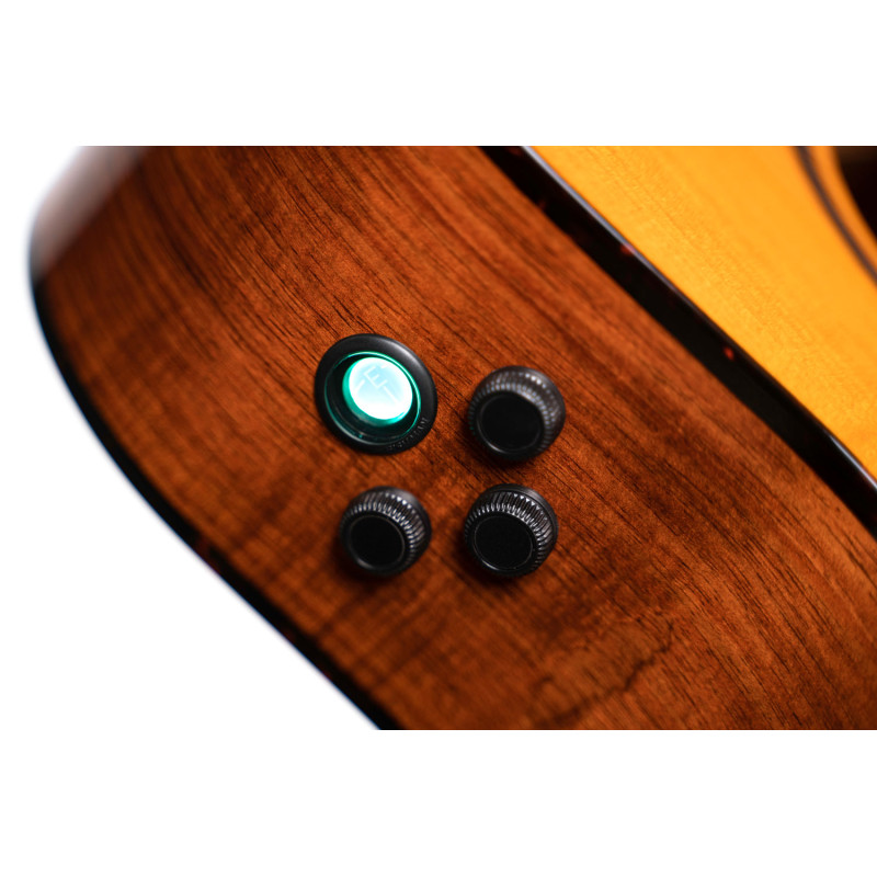 CORT LUXE II NAT w/case Акустическая гитара