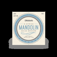 D‘ADDARIO EJ62 MANDOLIN 80/20 BRONZE LIGHT (10-34) Струни для мандоліни