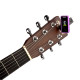 D`ADDARIO PW-CT-17PR Eclipse Tuner