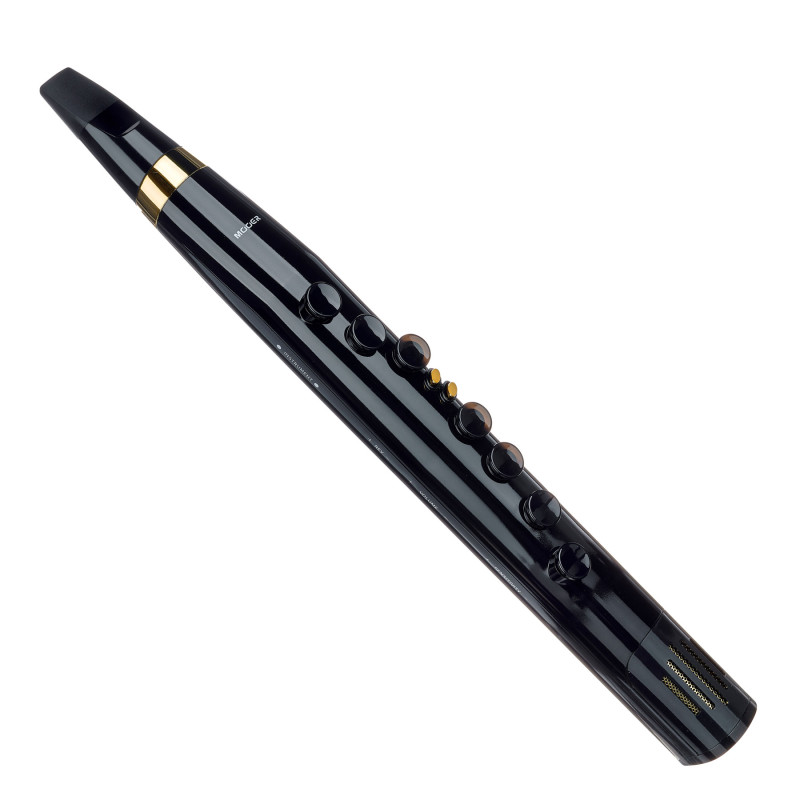 MOOER Wi100 (Черный) Цифровая блок-флейта